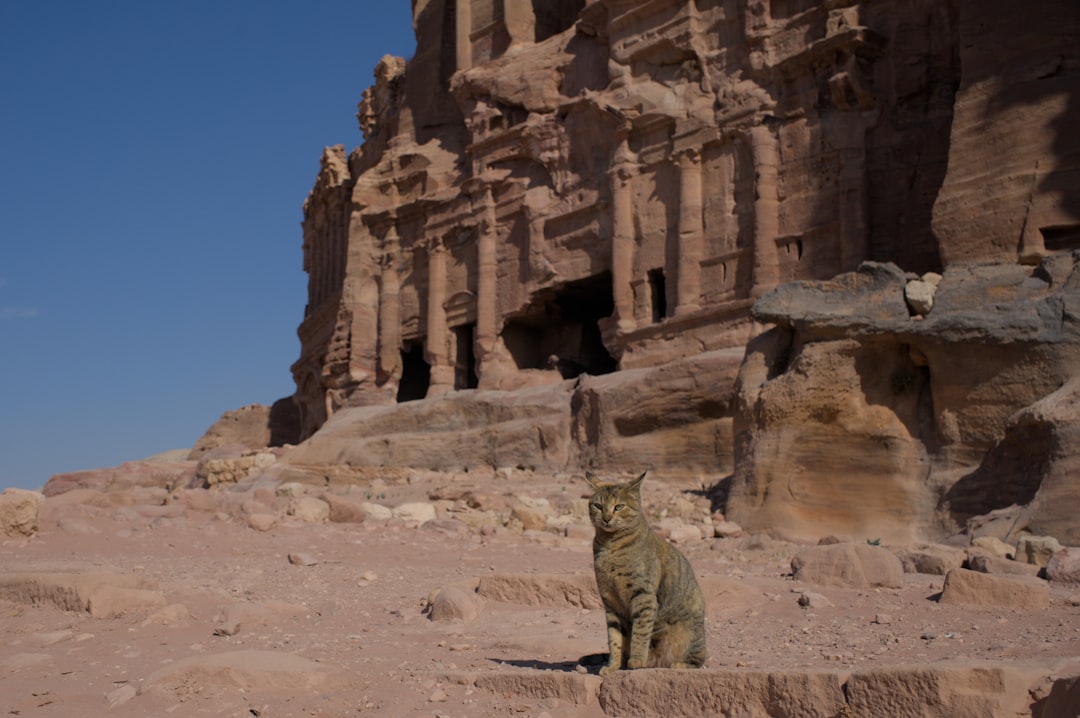 Petra Rose Hotel – 2